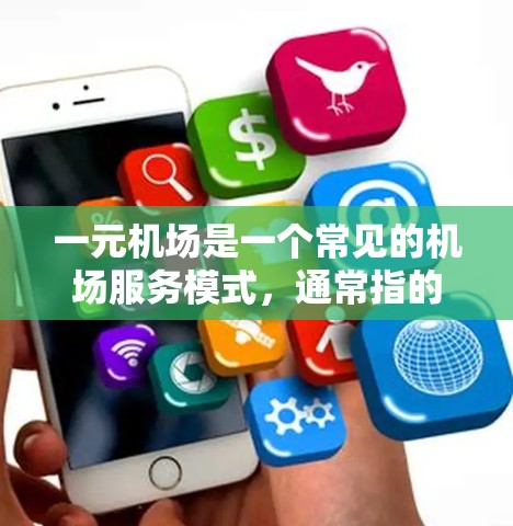 一元机场是一个常见的机场服务模式，通常指的是机场通过一种独特的方式，将旅客的行李和物品集中管理，以便于后续的运输和处理。这种服务模式强调了效率和细致，而不是魔法软件