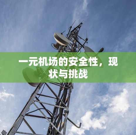 一元机场的安全性,现状与挑战 一元机场的安全性,现状与挑战