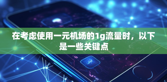在考虑使用一元机场的1g流量时，以下是一些关键点