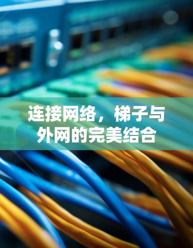 连接网络，梯子与外网的完美结合