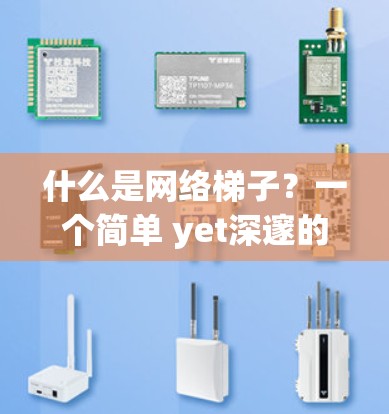 什么是网络梯子？一个简单 yet深邃的网络结构