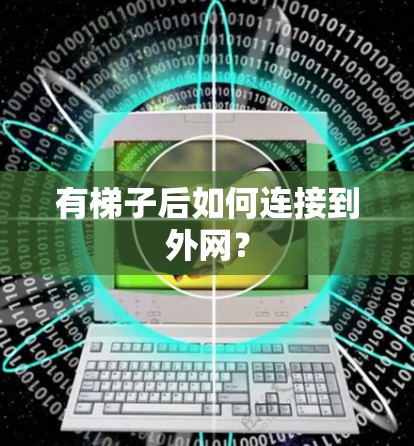 有梯子后如何连接到外网? 有梯子后如何连接到外网?
