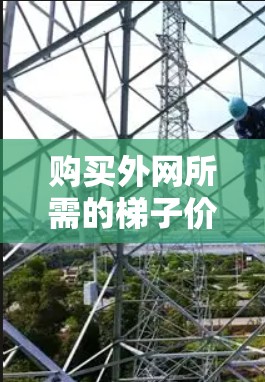 购买外网所需的梯子价格取决于几个因素，包括梯子的材质、长度、数量以及需要的数量。以下是一些常见的价格范围和推荐