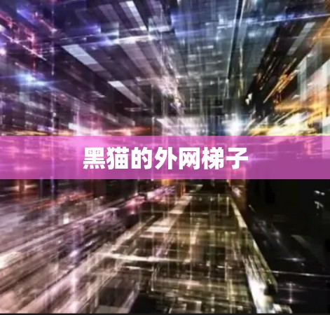 黑猫的外网梯子 黑猫的外网梯子