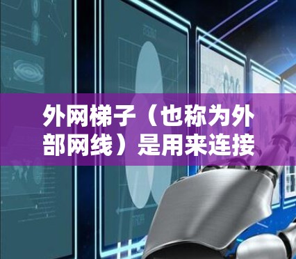 外网梯子(也称为外部网线)是用来连接外部设备到网络的工具或结构。以下是关于外网梯子的详细介绍 外网梯子(也称为外部网线)是用来连接外部设备到网络的工具或结构。以下是关于外网梯子的详细介绍
