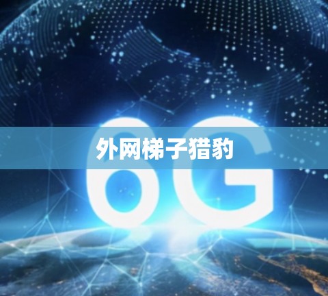 外网梯子猎豹 外网梯子猎豹