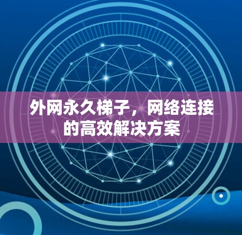 外网永久梯子，网络连接的高效解决方案