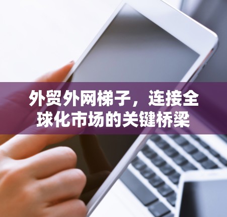外贸外网梯子,连接全球化市场的关键桥梁 外贸外网梯子,连接全球化市场的关键桥梁
