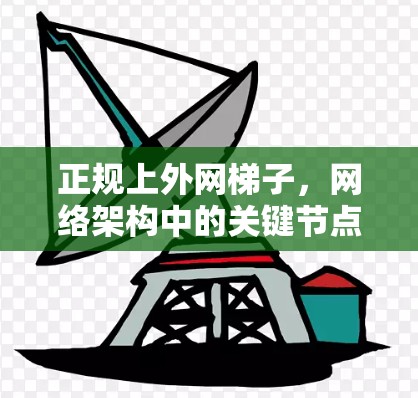 正规上外网梯子，网络架构中的关键节点