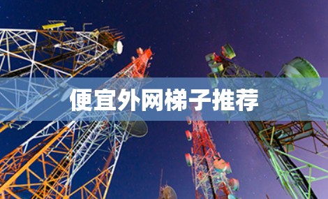 便宜外网梯子推荐 便宜外网梯子推荐