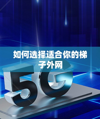 如何选择适合你的梯子外网 如何选择适合你的梯子外网