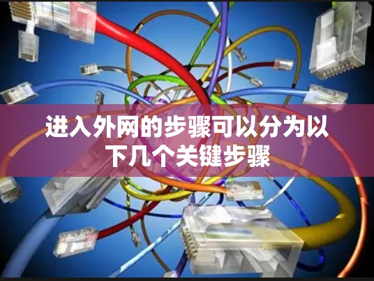 进入外网的步骤可以分为以下几个关键步骤 进入外网的步骤可以分为以下几个关键步骤