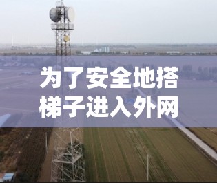 为了安全地搭梯子进入外网,按照以下步骤进行操作 为了安全地搭梯子进入外网,按照以下步骤进行操作