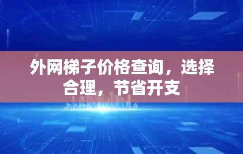 外网梯子价格查询，选择合理，节省开支