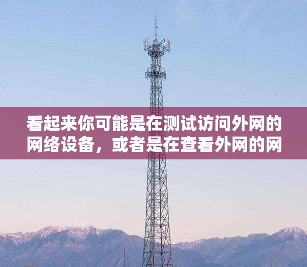 看起来你可能是在测试访问外网的网络设备，或者是在查看外网的网络配置。如果你在浏览外网的网络设备，可以尝试以下步骤