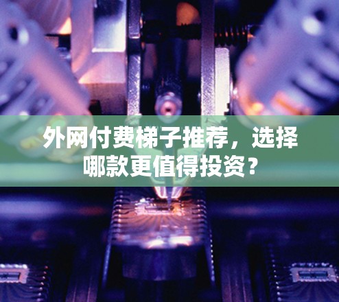 外网付费梯子推荐,选择哪款更值得投资? 外网付费梯子推荐,选择哪款更值得投资?
