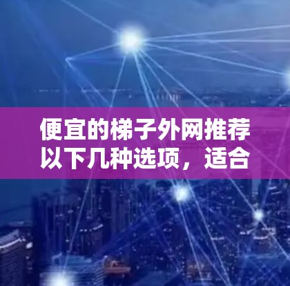便宜的梯子外网推荐以下几种选项，适合爬高的需求