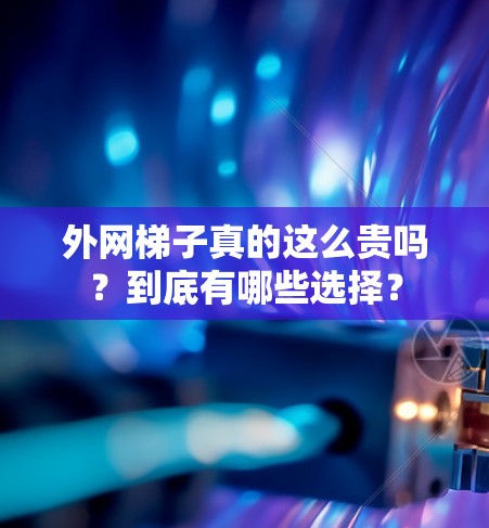 外网梯子真的这么贵吗?到底有哪些选择? 外网梯子真的这么贵吗?到底有哪些选择?
