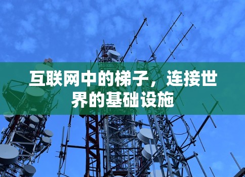 互联网中的梯子，连接世界的基础设施