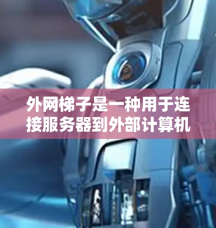 外网梯子是一种用于连接服务器到外部计算机或局域网的设备,通常用于小规模或中等规模的网络。以下是对外网梯子的详细说明 外网梯子是一种用于连接服务器到外部计算机或局域网的设备,通常用于小规模或中等规模的网络。以下是对外网梯子的详细说明