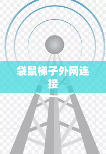 袋鼠梯子外网连接