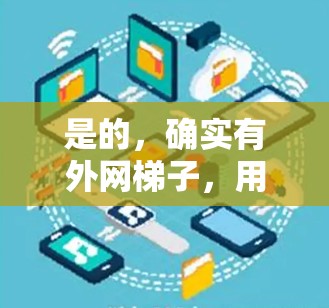 是的,确实有外网梯子,用于连接到网络设备,如电脑、手机等,连接到外网。以下是一些常见的外网梯子类型及其适用情况 是的,确实有外网梯子,用于连接到网络设备,如电脑、手机等,连接到外网。以下是一些常见的外网梯子类型及其适用情况