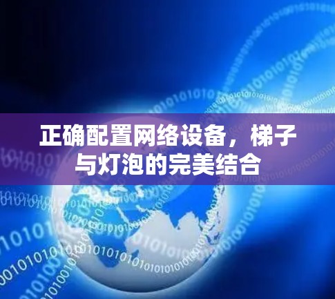 正确配置网络设备,梯子与灯泡的完美结合 正确配置网络设备,梯子与灯泡的完美结合