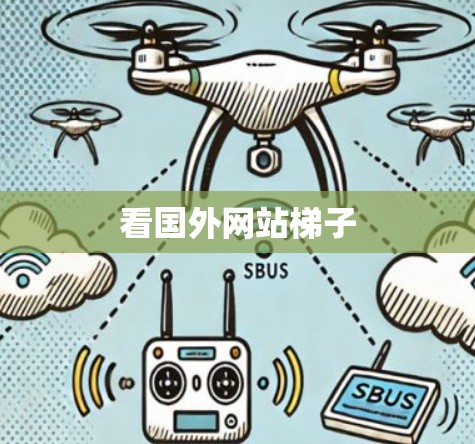看国外网站梯子 看国外网站梯子