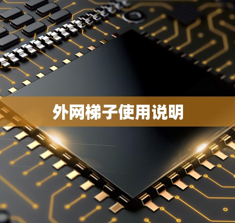 外网梯子使用说明