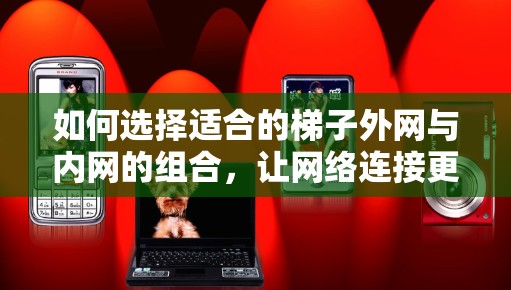 如何选择适合的梯子外网与内网的组合，让网络连接更高效
