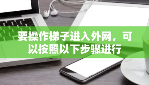 要操作梯子进入外网，可以按照以下步骤进行