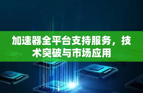 加速器全平台支持服务,技术突破与市场应用 加速器全平台支持服务,技术突破与市场应用