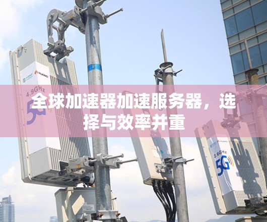 全球加速器加速服务器，选择与效率并重