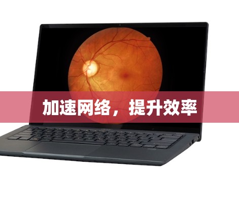 加速网络,提升效率 加速网络,提升效率