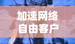 加速网络自由客户端