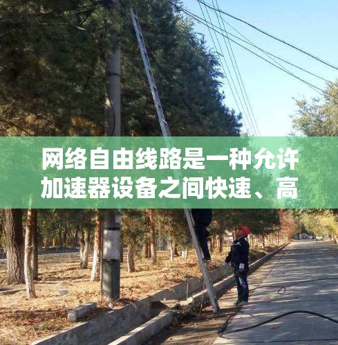 网络自由线路是一种允许加速器设备之间快速、高效、灵活连接的网络架构，具有高连接率、成本低、灵活性高的特点。以下是关于网络自由线路的详细分析