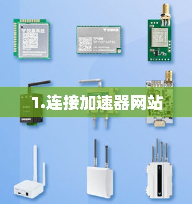 1.连接加速器网站
