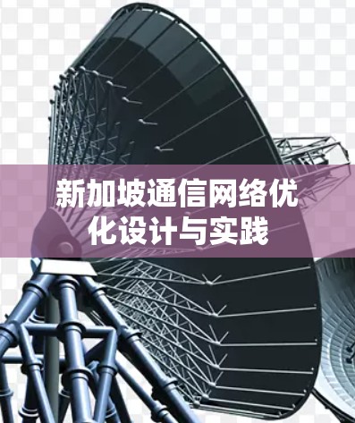 新加坡通信网络优化设计与实践 新加坡通信网络优化设计与实践
