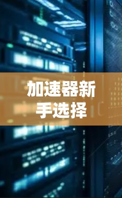 加速器新手选择 加速器新手选择