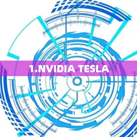 1.NVIDIA TESLA 1.NVIDIA TESLA