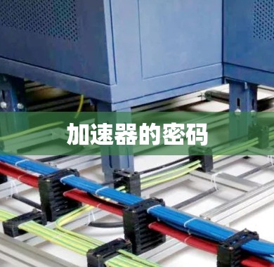 加速器的密码