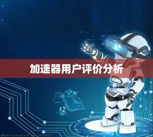 加速器用户评价分析