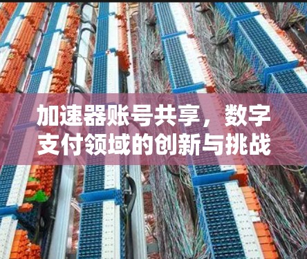 加速器账号共享,数字支付领域的创新与挑战 加速器账号共享,数字支付领域的创新与挑战