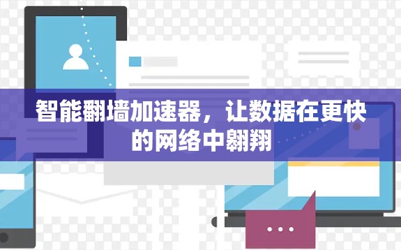 智能翻墙加速器，让数据在更快的网络中翱翔