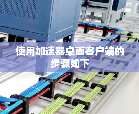 使用加速器桌面客户端的步骤如下