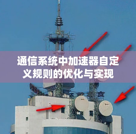 通信系统中加速器自定义规则的优化与实现