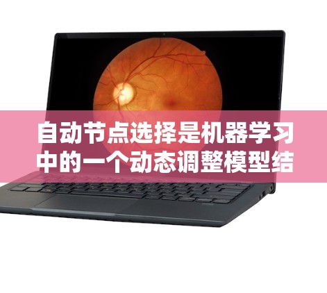 自动节点选择是机器学习中的一个动态调整模型结构的技术,旨在提高训练效率和模型性能。以下是对该技术的详细分析 自动节点选择是机器学习中的一个动态调整模型结构的技术,旨在提高训练效率和模型性能。以下是对该技术的详细分析