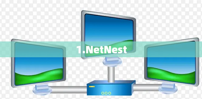1.NetNest