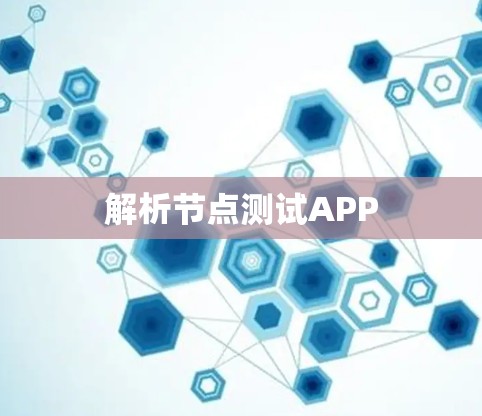 解析节点测试APP