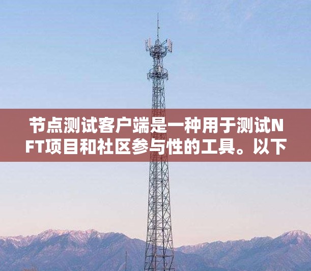 节点测试客户端是一种用于测试NFT项目和社区参与性的工具。以下是关于它的详细介绍